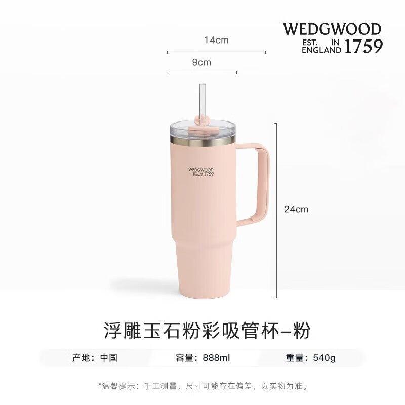 Wedgwood Embossed Jade Pastel Straw Cup