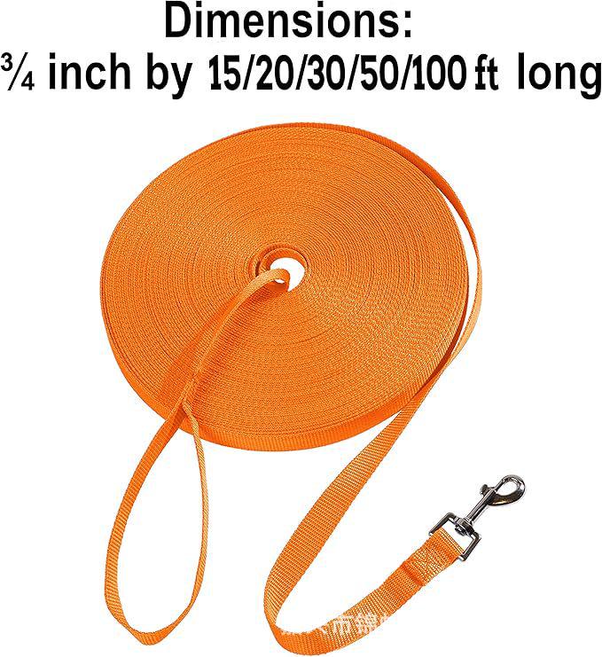 Extra Long Wide Pet Leash: Robust Training and Tracking Rope for Large Dogs