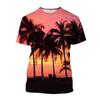 Hawaiian Style T-Shirts Palm Tree Pattern 3D Print Men Women Short Sleeve T Shirt Oversized Harajuku Y2k Tees Man Tops Clothing