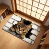 Water-absorbing Optical Illusion Doormat Non-slip Bedroom Door Rug Bathroom Carpet  Home Decor
