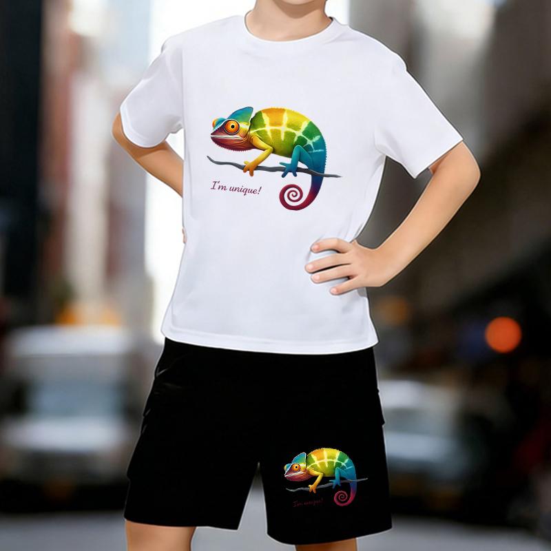 

Boys 2 Piece Chameleon printed outfit, Short Sleeve T-Shirt and Shorts Set for Kids Age 5-14,White, Black Sporty Casual Summer Clothes 13-14 Years
