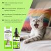 Kriath Cat Probiotic Drops 60ml - 3-in-1 formula promotes gut balance & comfort, boosts gut health & immunity, pet health care product.
