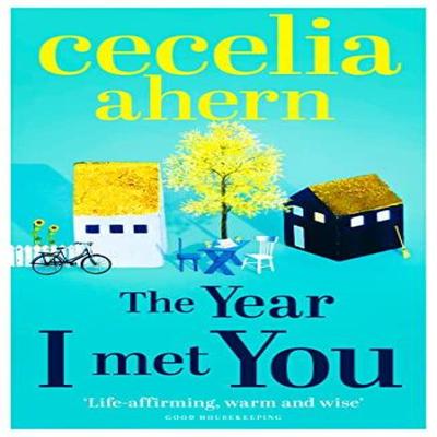 The Year I Met You by Cecelia Ahern Paperback Book 9780007501793