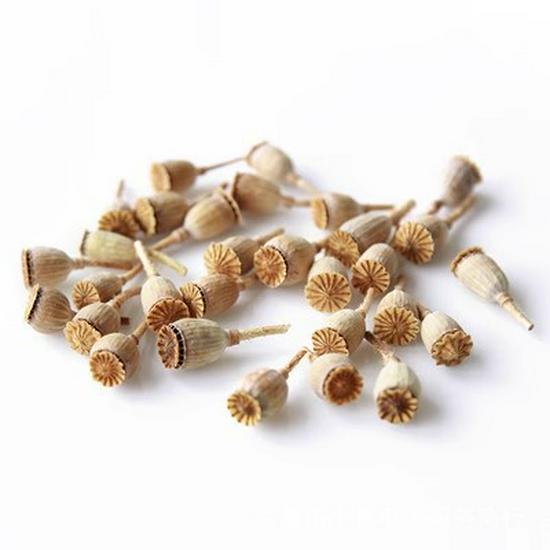 Handmade Wild Pine Cone Christmas Tree Decorative Branches with Dried Flowers