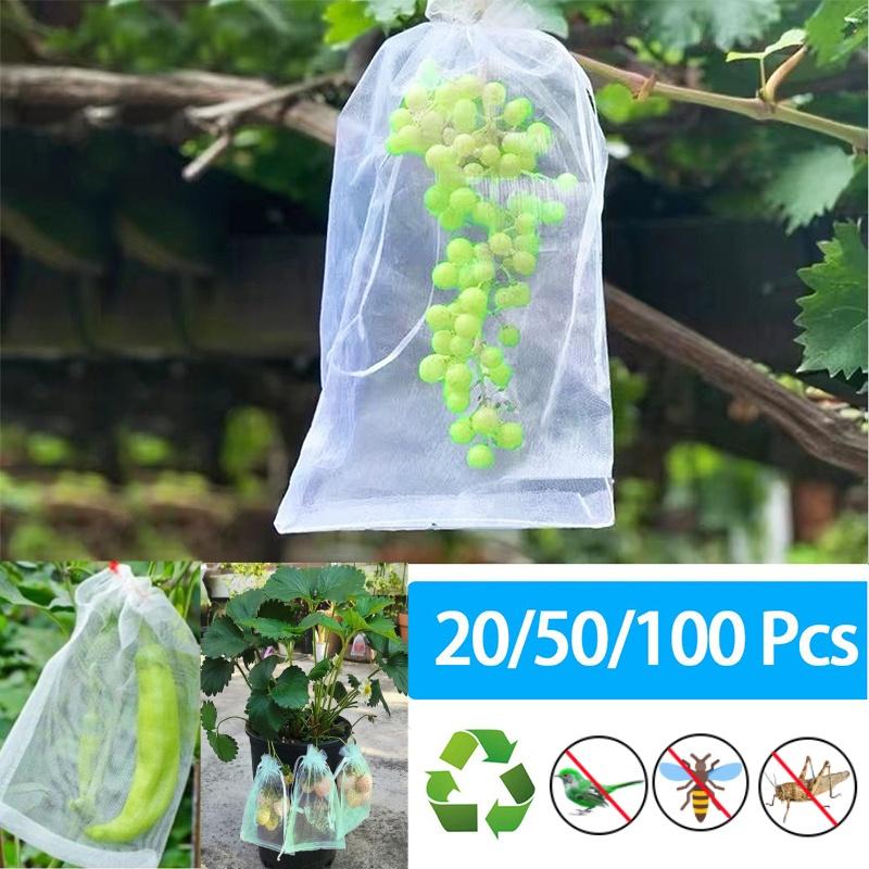 1-100Pcs Grapes Fruit Grow Bags Netting Mesh Strawberry  Vegetable Plant Protection Bags For Pest Control Anti-Bird Garden Tools