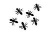 Speed Mao Ant Figure 100 Perfect for Pranks Model, Ants, Black, 1.5cm,