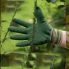 Mănuși de grădinărit rezistente la spini, mănuși de lucru pentru grădină, mănuși de grădinărit respirabile, impermeabile pentru cactus, trandafir și mure pentru femei/bărbați