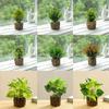 Creative Wooden Basin with Artificial Green Plant Bonsai Ornament for Display and Decoration.