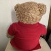 [USED] Rare Ralph Lauren Polo Teddy Bear Plush Toy - Price Unavailable