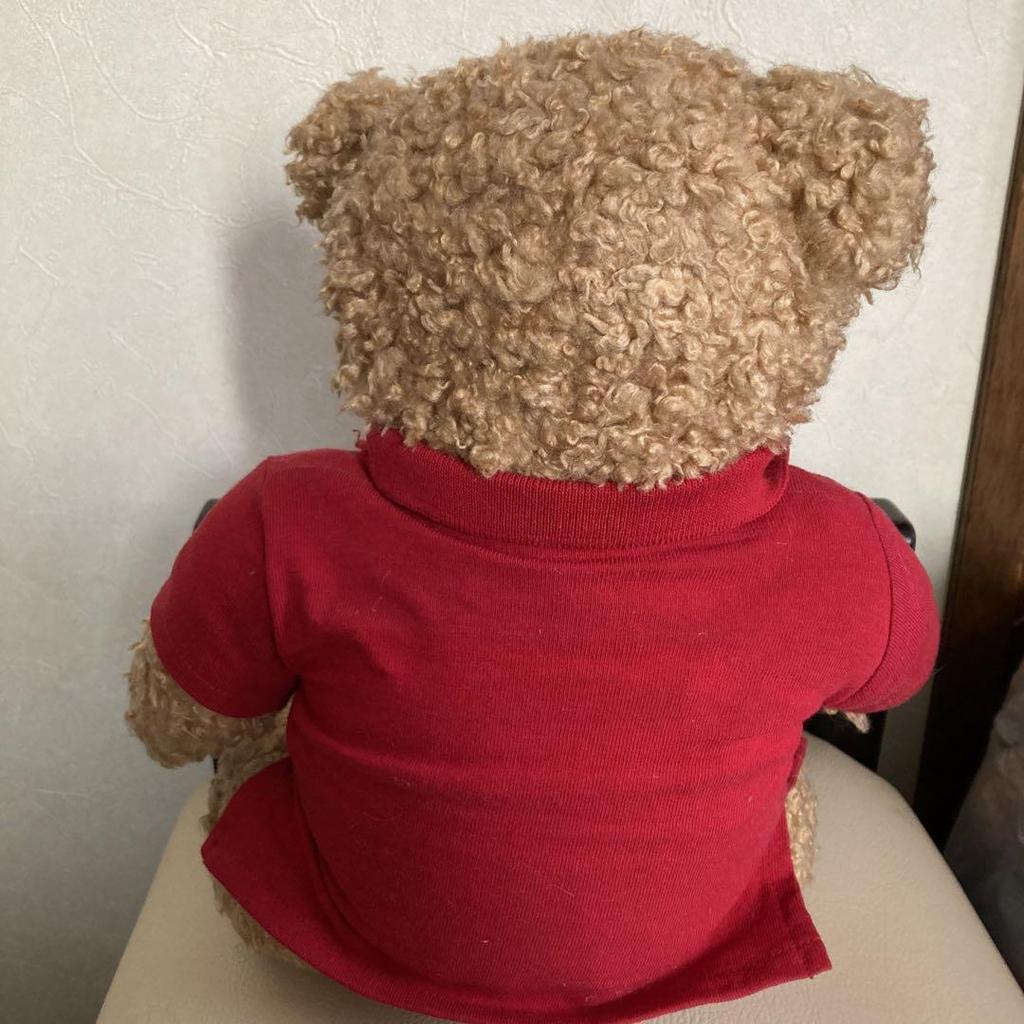 [USED] Rare Ralph Lauren Polo Teddy Bear Plush Toy - Price Unavailable
