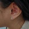 14K Wind Flower Cubic Earrings