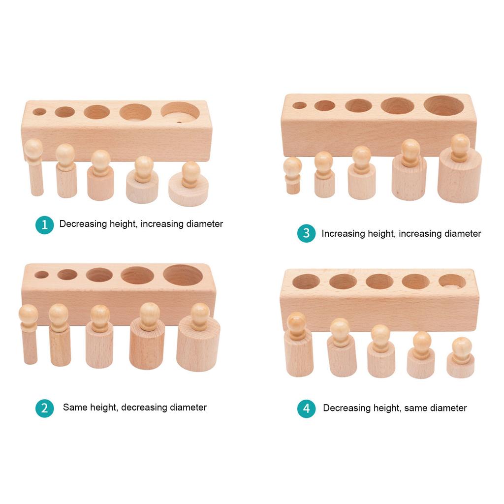 Cylinder Socket Toy Beech Wood Educational Knobbed Cylinders Blocks for Early Childhood Education