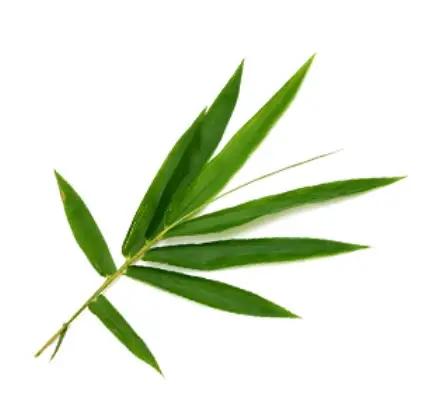 BIO-Shampoo Super Strong zur Stärkung des Haares mit Bambus SANTE 500 ml