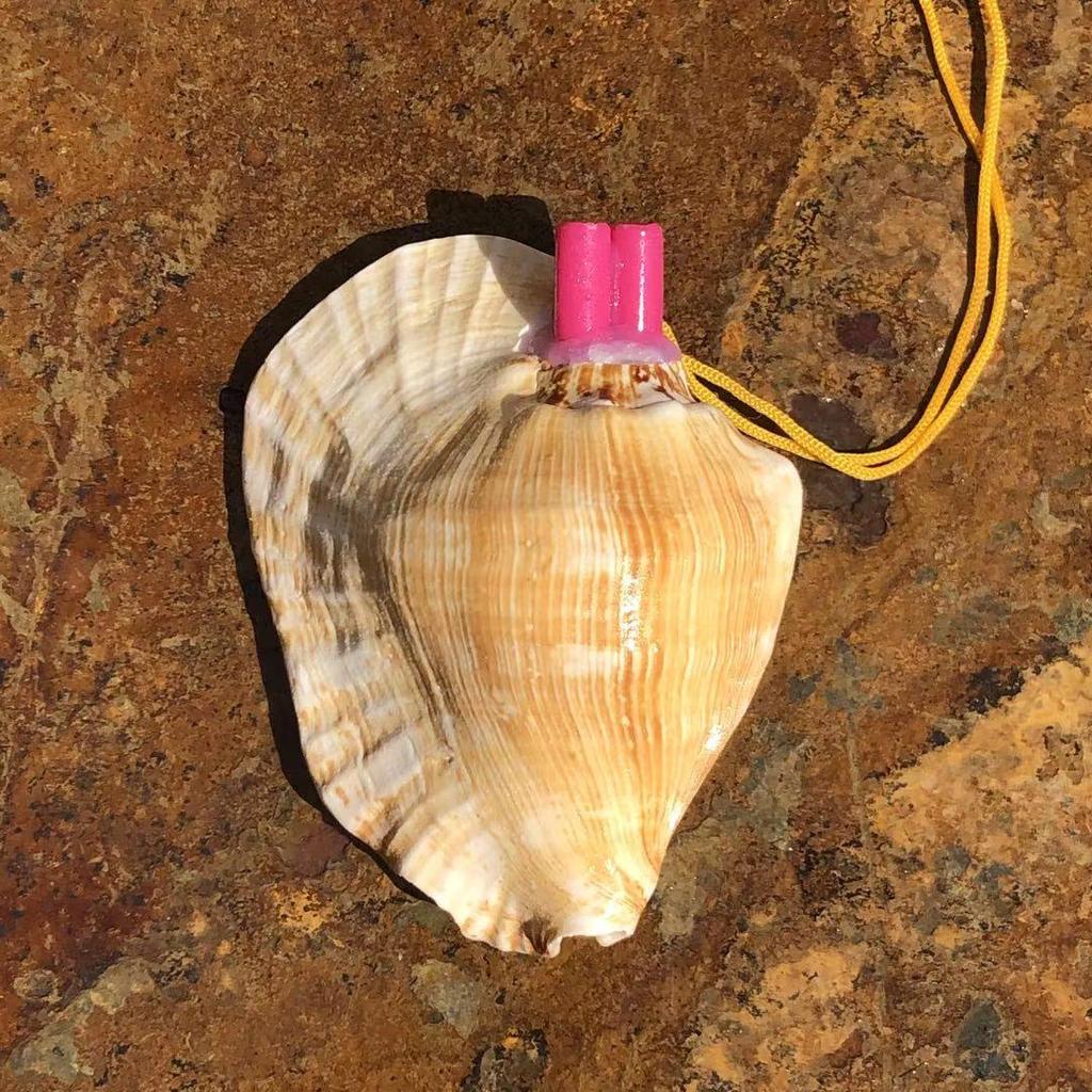 Street Stall Conch Shell Whistles & Toys: Creative Souvenirs