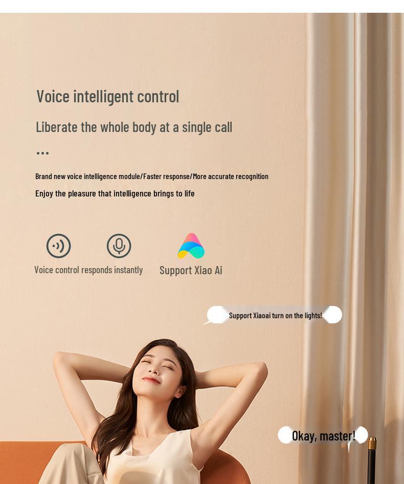 Retro Walnut Zen Ceiling Light with Song Dynasty Silk Aesthetics