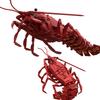 Creative Building Blocks Movable Lobster Model Assembly Toy for Kids Educational DIY Toy Fun Learning Activity