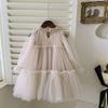 Spring and Autumn New Girls Lace Spliced Princess Dress