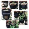 Visible Strawberry Sweet Potato Grow Bags Thickened Nonwoven Fabric Pots 4/7/10 Gallon Pot for Garden Planting Bags