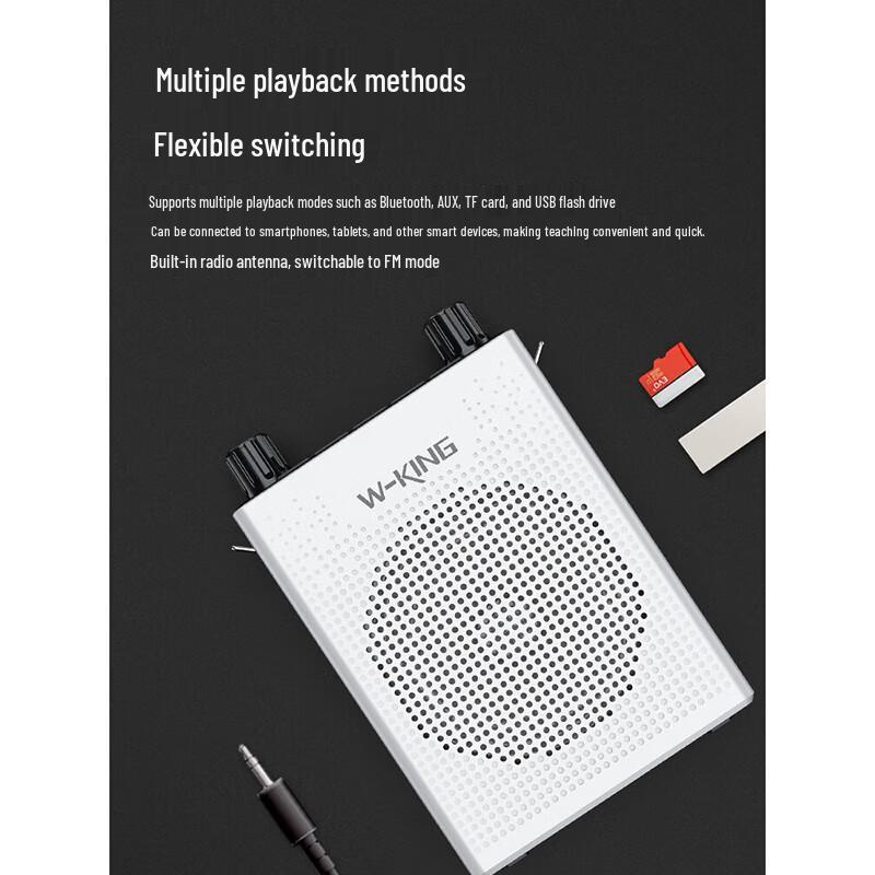W-King KS06 Portable Voice Amplifier with Wireless Microphone CN Plug (adapter Included)