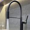 TLXT Kitchen Sink Faucet