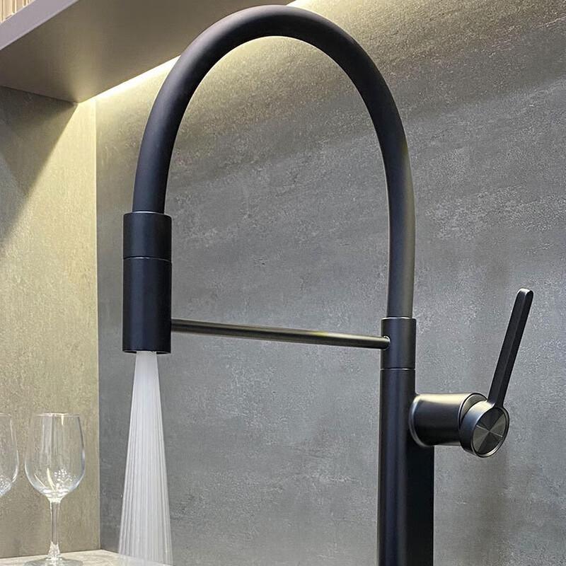 TLXT Kitchen Sink Faucet