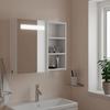 VidaXL Bathroom Mirror Cabinet with LED White 60x13x52 Cm, Vanity Cabinet with Mirror, Wall Cabinet with 357969