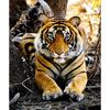 Animal DIY 5D Diamond Painting Cross Stitch Tiger Diamond Embroidery Full Round Resin Mosaic Rhinestones Handmade Holiday Gift