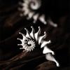 New Gothic Stereo Conch Personality Ancient Silver Stud Earrings for Men Women Hallowmas Punk Jewelry Vacation Accessory Gift
