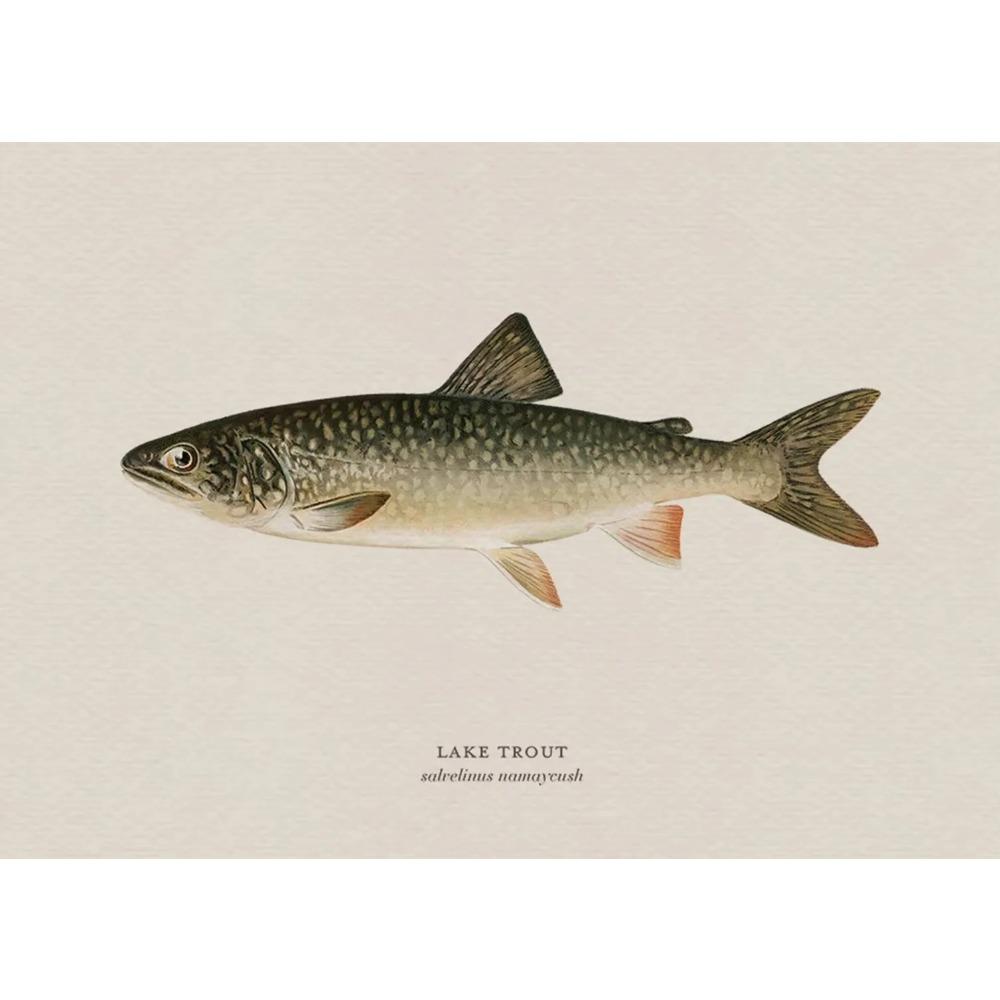 Vintage Bass Fish Trout Fly Fishing Posters Prints Canvas Painting Fisherman Retro Wall Art Picture for Living Room Home Decor
