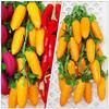2 Pcs Simulated Corn Hanging Skewers Imitation Pendant Simulation Prop Ornament Fruit Green Office