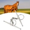 Ball Chain Design Horse Mouth Bit 135mm Length Horse Riding Bit Horse Riding Equipment  Riding Use