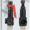 Qingwa A27W Cast Iron Threaded Full Lift Safety Valve
