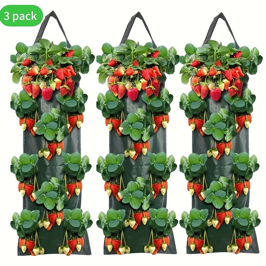 

3 Hanging 8-Hole Strawberry Planting Bags, Waterproof Pe Material, Perforated Plant Planting Hanging Bags, Household Multi-Pocke