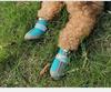 Breathable Non-slip Dog Shoes for Small Breeds