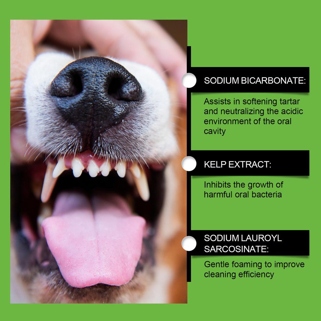 Teeth Cleaning Powder For Dogs Gentle Teeth Cleaning Powder For Dogs, Tartar Odor Refreshes Breath