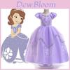 Bezauberndes Sofia Prinzessinnenkleid für Mädchen – Cartoon-Kostüm für Fantasy-Partys und Abenteuer