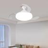 oeny Invisible Ceiling Fan with Light