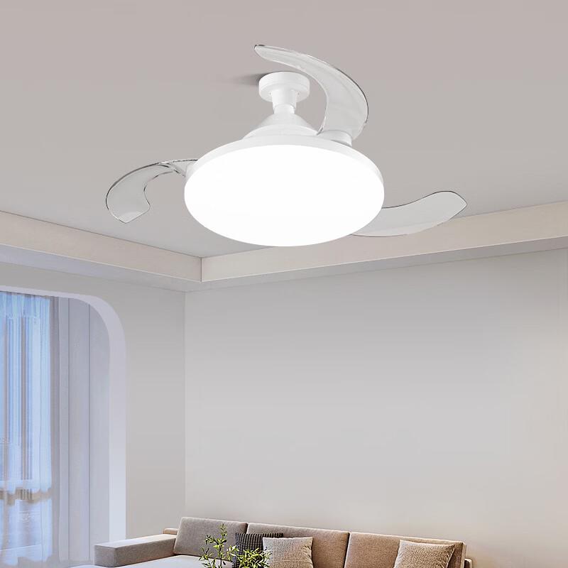 oeny Invisible Ceiling Fan with Light