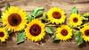 Glasplatte Schneidebrett 52x30 Blumen