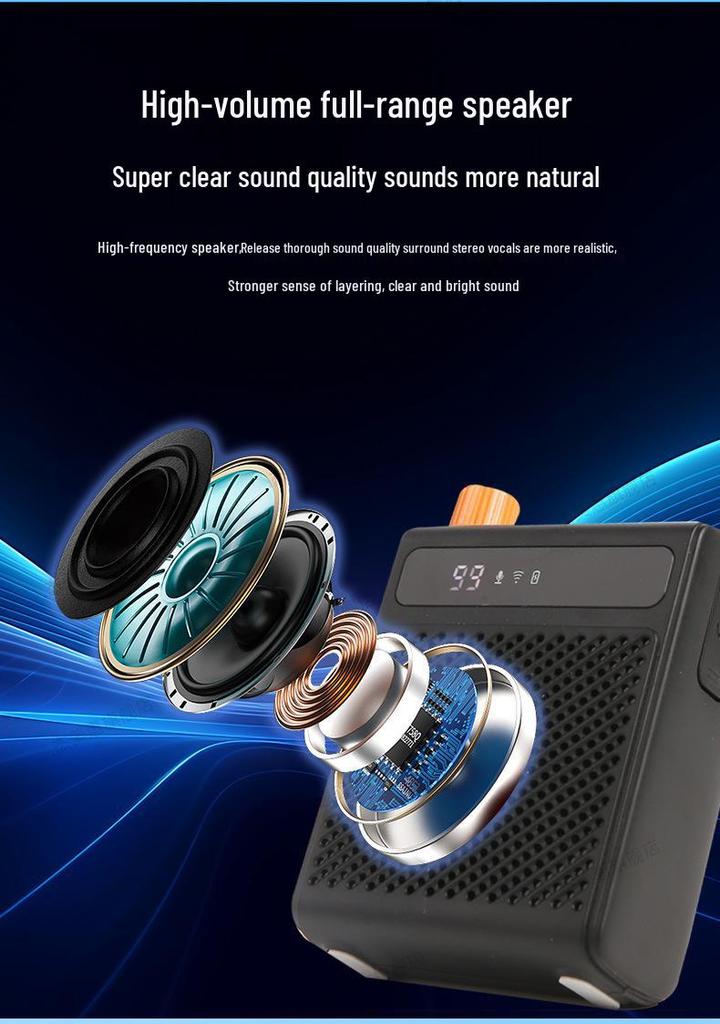 Bee-Type Wireless Microphone & Amplifier with Large Speaker and Magnetic Lapel Clip for Teachers