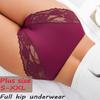 1 Stück Damen High Waist Übergröße Spitze Unterwäsche, Modisch, Atmungsaktiv, Weich und Bequem Damen Unterwäsche, 5 Farben Zur Auswahl