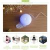 Aromatherapy Mini Humidifier 100ml Capacity Lantern Shape Diffuser for Yoga, Office Focus, and Car Travel with 7 Calming Lights