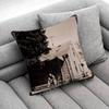 E-Eminem The Marshall Mathers LP STANS Throw Pillow Case For 30cm 40cm 45*45cm 50cm 55cm Square Sofa Pillowcase Shell
