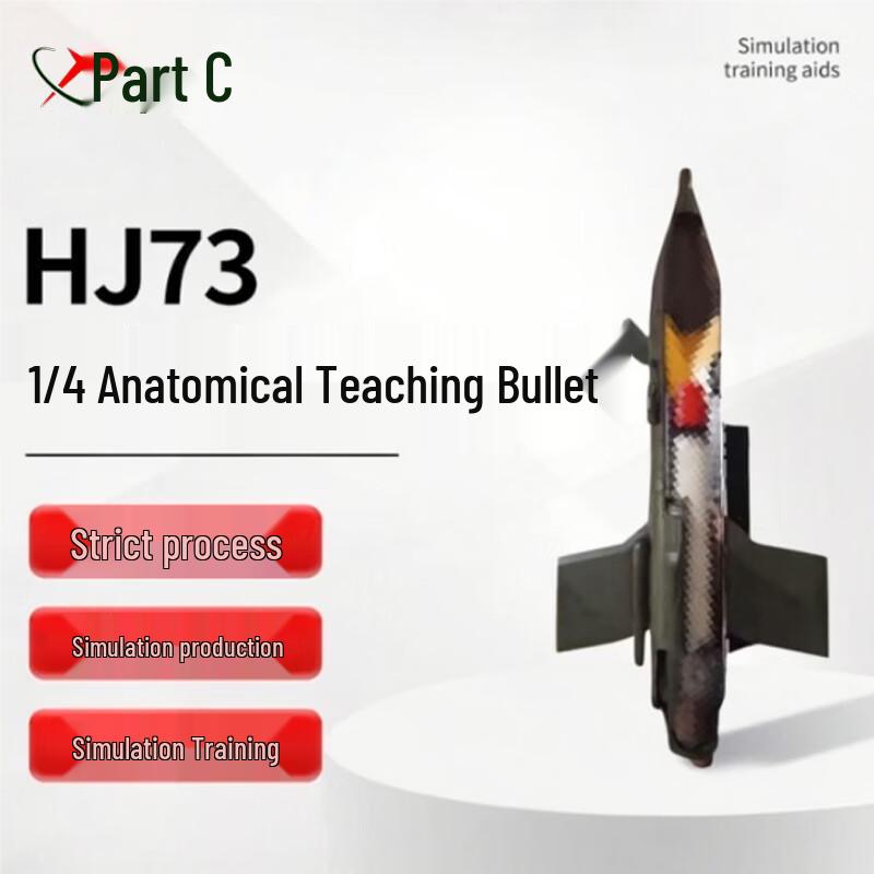 H173 Quarter Anatomy Training Model