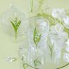 5Pcs PET Transparent Plant Leaf Bookmark Nature Botanical Leaves Book Marker for Reading Journal DIY Decor Supplies
