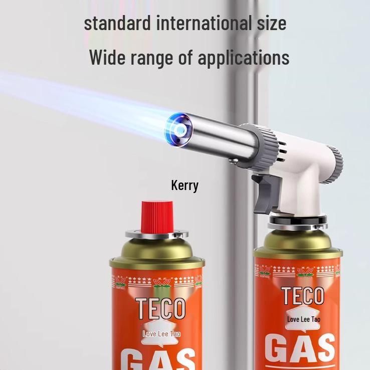 Explosion-Proof Portable Gas Stove with LPG Canister for Outdoor Use