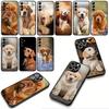 Handyhülle Tier Haustier Golden Retriever Hund für Xiaomi Poco F7 F6 F8 Ultra F5 X7 X6 X5 X3 NFC M7 M6 Pro C85 C75 C65 C71 C61 Hülle