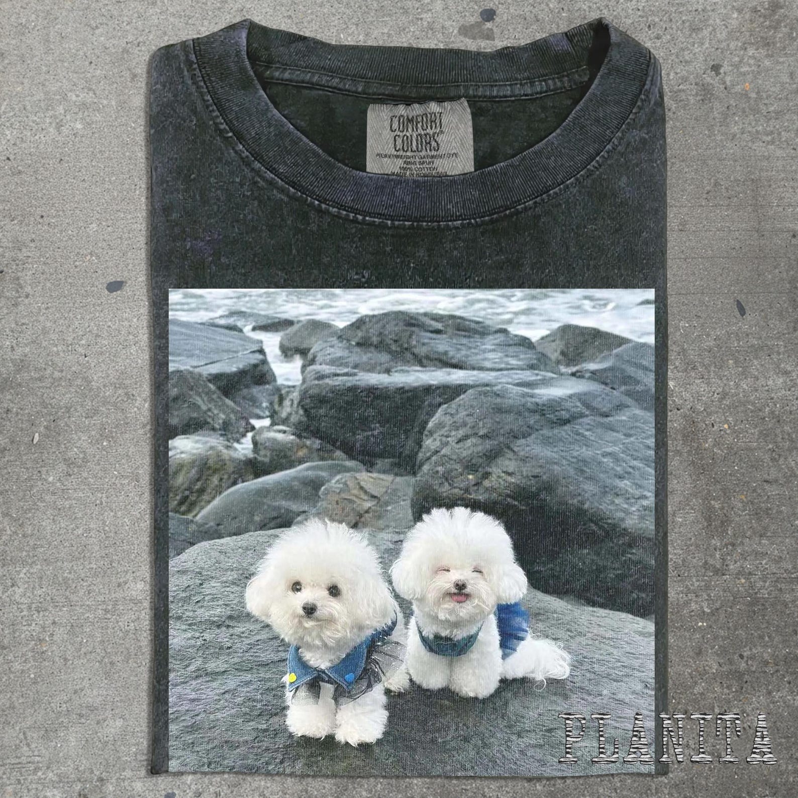 Two Bichon Frise Puppies T-Shirt | Cute Dog Photo Tee S