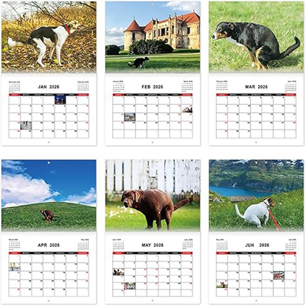 Pooping Dog Calendar 2026 Large Monthly Grid Planning With Important Note Space Funny Gifs For Dogs Lover's Home Decora