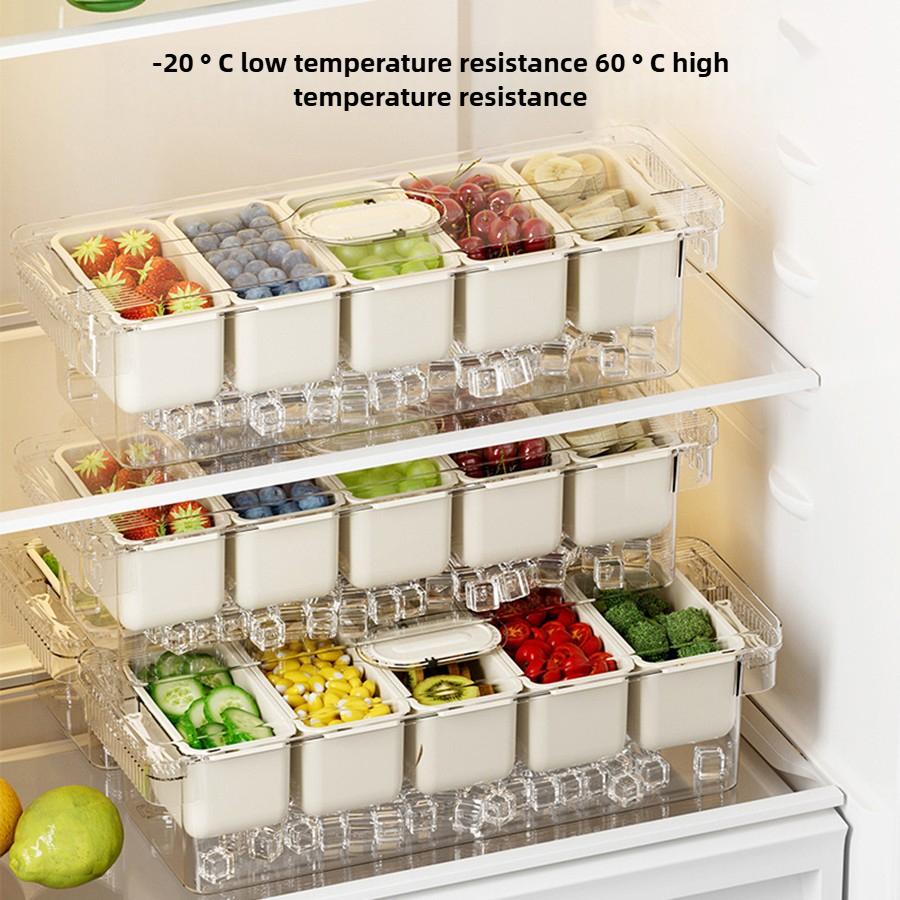 Ice Chilled Condiment Caddy with 5 Containers, Fruit Plate Server with  Lids, Serving Tray Platter with Removable Dishes
